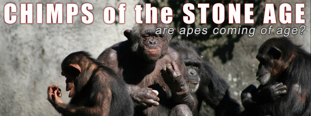 Chimps of the Stone Age | Truth Revolution Radio Show