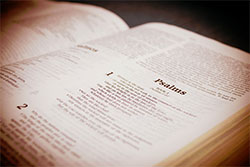 Bible Reading: Engage the Text