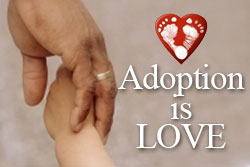 The Adoption Myth: Cost