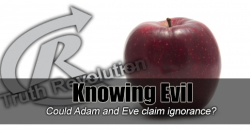 Knowing Evil